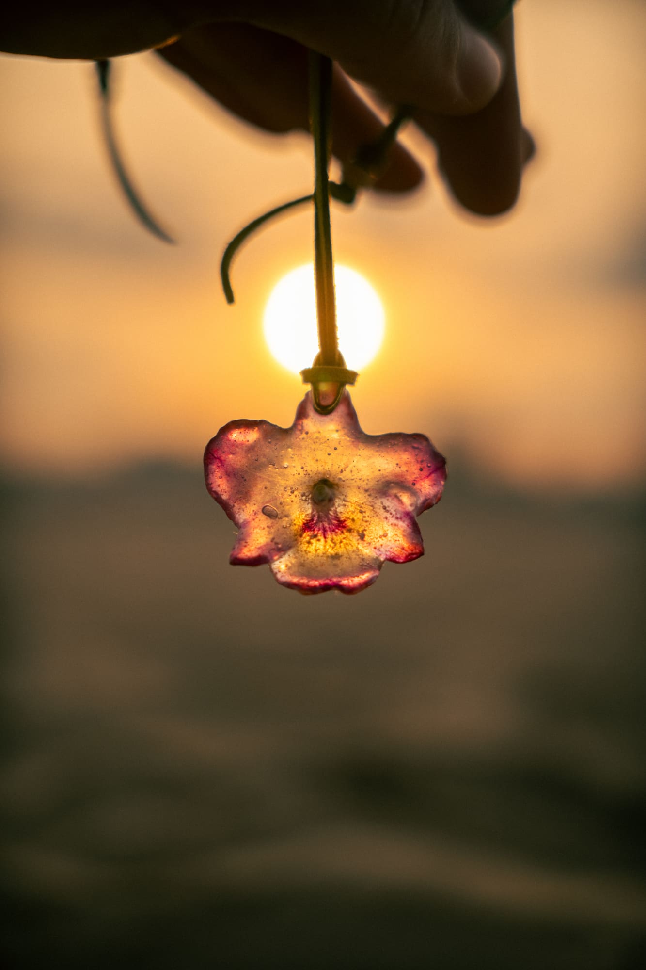 Colección verano Flores de eroL, imagen 18