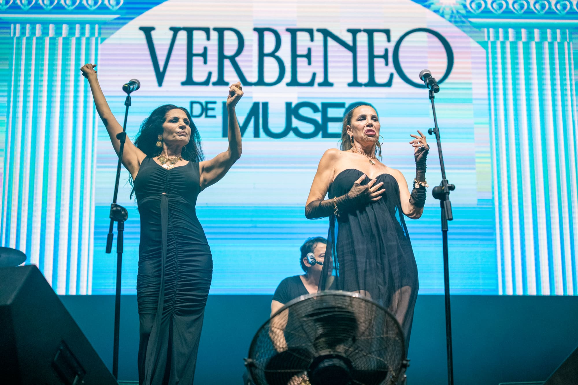 Verbeneo de Museo, imagen 43